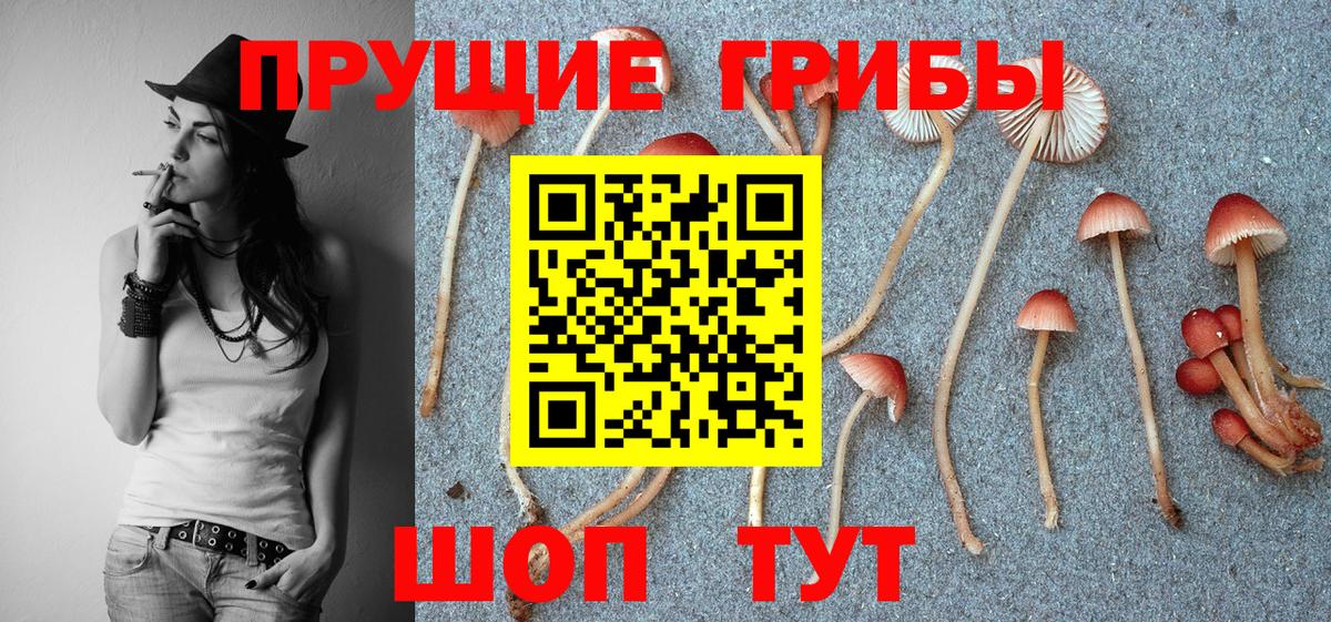 Галлюциногенные грибы Cubensis Соль-Илецк